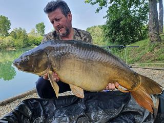 CORONA CARP